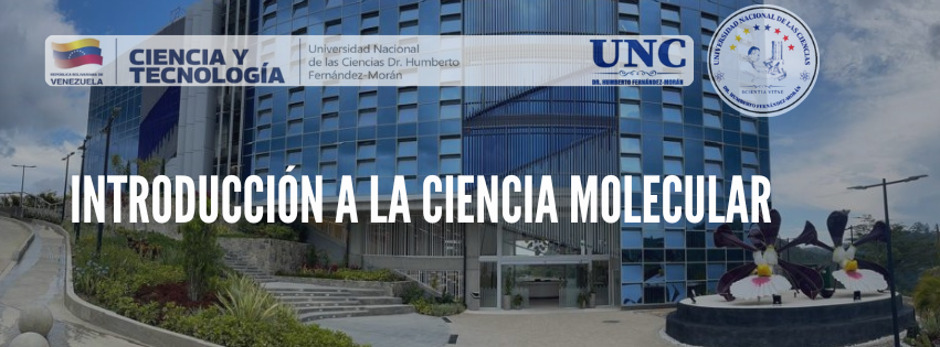 Introducción a la Ciencia Molecular
